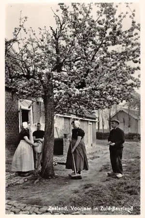 Zeeland Voorjaar in Zuid-Beveland Boerderij Boerenfamilie in klederdrachtGoes HC29317 Promocja