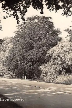 Wyprzedaż Oostvoorne aan Zee Heveringseweg1958 HC29169