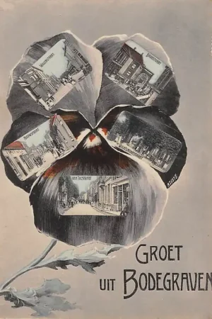 Bodegraven Groeten uit 1919 Willemstraat Nieuwstraat Van Tolstraat Wilhelminastraat Brugstraat HC29158 Popularny