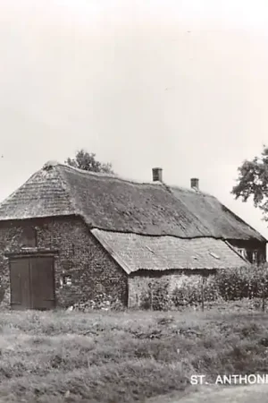 Sint Anthonis Brabants Landschap Boerderij Land van Cuyk HC28010 Kup teraz