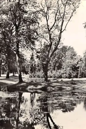 Dordrecht Park Merwesteyn 1959 HC28002 Tylko dziś