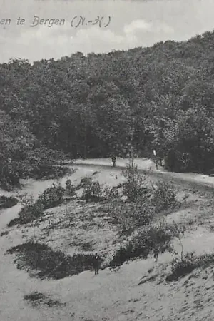 Bergen (NH) Ingang Duinen HC15458 Oryginalny