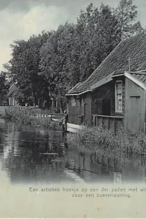 Zaandam Een artistiek hoekje op een der paden met wit geverfde boomen voor een boerenwoning 1907 HC15337 Zwrot pieniędzy