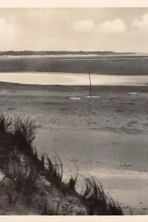 Darmowa dostawa Texel Slurfter HC12014