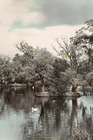 Tylko dziś Hilversum Lapersveld 1955 HC10604