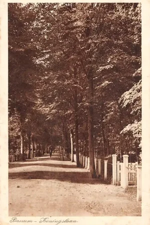 Bussum Koningslaan 1925 HC10257 Tani