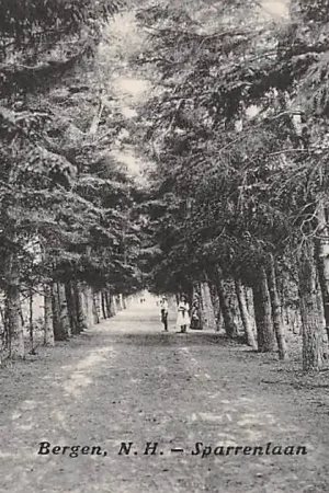 Bergen (NH) Sparrenlaan 1918 HC5007 Ostatnia szansa