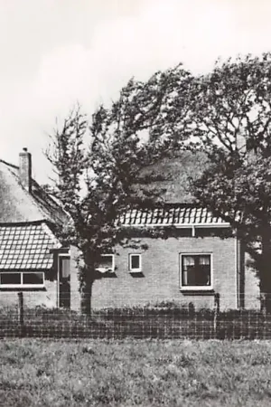 Texel Bloem en Bos HC4399 Bezpieczna płatność