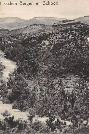 Bergen (NH) 1915 Wandeling in de Duinen tussen Bergen en Schoorl HC2107 Oryginalny