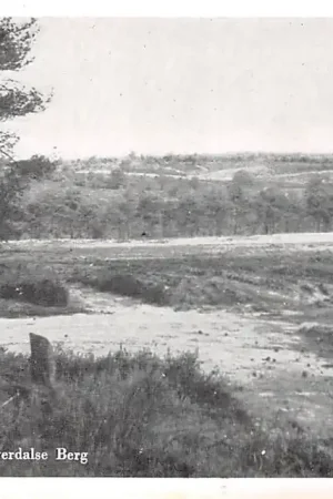 Zamów teraz Nijverdal Bosgezicht Nijverdalse Berg 1956 HC53306