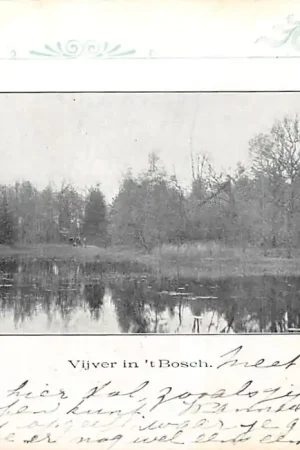 Almelo Vijver in 't Bosch 1901 HC43368 Oferta