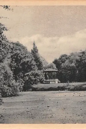 Steenwijk Vijver met Muziektent HC27980 Oferta