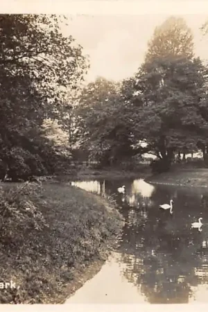 Enschede Volkspark 1934 HC24842 Ostatnia szansa