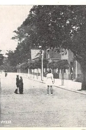 Goor Herm. Heyermanstraat jaren 40 Hof van Twente HC18790 Tylko dziś