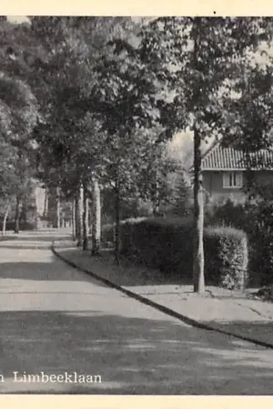 Wyprzedaż Driebergen Johan van Limbeeklaan HC57271