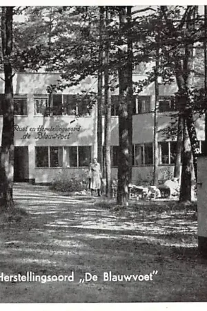 Darmowa dostawa Driebergen Rust- en Herstellingsoord De Blauwvoet HC57262