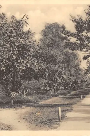 Zeist Rijwielpad Zeist - Soesterberg 1934 HC56596 Rabat