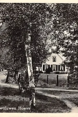 Zamów teraz Hollandsche Rading Zwaluwen Hoeve 1951 De Bilt HC56463