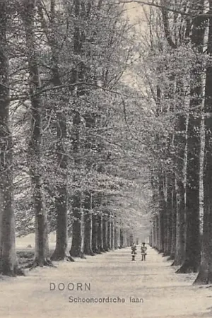 Doorn Schoonoordsche laan HC54251 Popularny