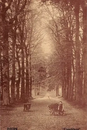 Darmowa dostawa Doorn Fleschlaan 1915 met jongen bij zijn kruiwagen HC54207