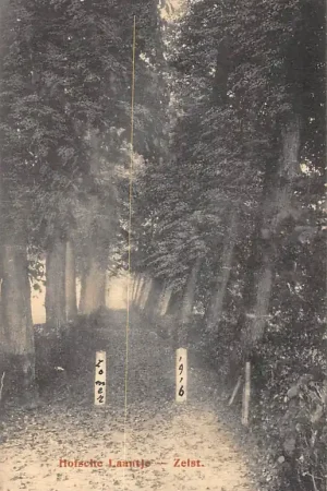 Zeist Hofsche Laantje 1916 HC54071 Ekspresowa dostawa