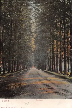 Zeist Koelaan 1900 HC54070 Najlepsza cena