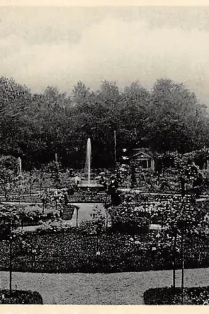 Utrecht Rosarium 1936 HC54166 Rabat