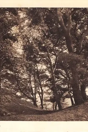 Wysoka jakość Rhenen Grebbeberg Louise-bank 1934 HC53398