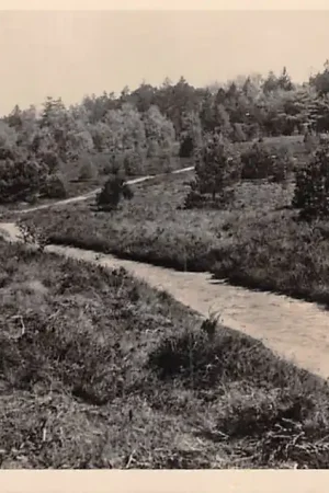 Tani Doorn Heidegezicht 1949 HC52771