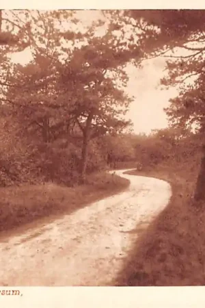 Tani Leersum Bergweg 1938 HC51686