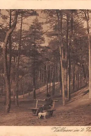 Zeist Valleien in 't ZeisterBosch Man met hond op houten' bankje 1922 HC48749 Zamów teraz