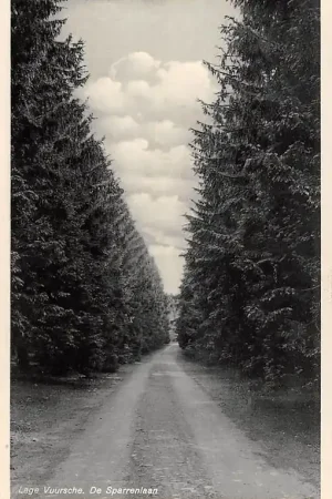 Wysoka jakość Lage Vuursche De Sparrenlaan 1936 Baarn HC47549