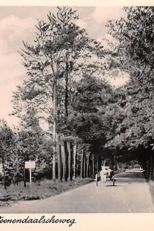 Darmowa dostawa Rhenen Nieuwe Veenendaalscheweg HC46132