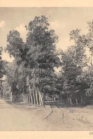 Doorn Grintweg bij Maarn HC44675 Wyprzedaż