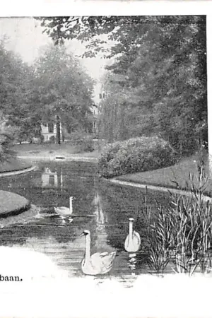 Driebergen Wildbaan met zwanen 1903 HC43290 Kup teraz