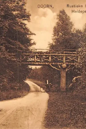 Doorn Rustieke brug Heidepark 1925 Nauta A 223 HC42342 Premium