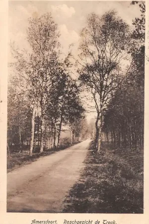 Amersfoort Boschgezicht bij de Treek 1925 HC40360 Tylko dziś