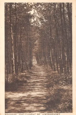 Wyprzedaż Amersfoort Rijwielpad bij Oud Leusden 1926 HC40359