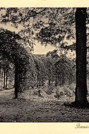 Baarn Baarnsche Bosch Berceau HC40271 Bezpieczna płatność