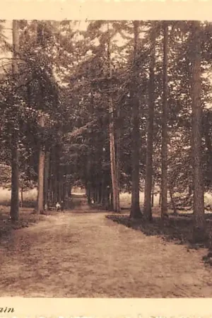 Baarn Boschgezicht 1914 HC40305 Rabat