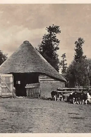 Soest Landschap aan de Nieuweweg 1944 HC40288 Autentyczny