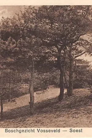Tylko dziś Soest Boschgezicht Vosseveld 1927 HC40163