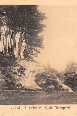 Soest Boschrand bij de Stomperd HC40151 Niska cena