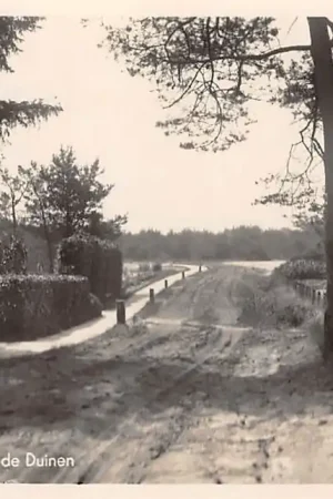 Soest Rijwielpad naar de Duinen HC40149 Ekspresowa dostawa