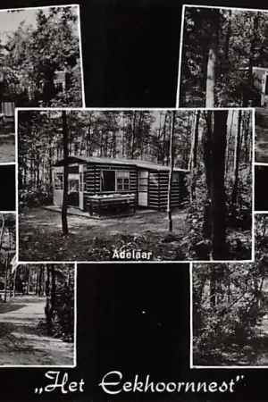 Wyprzedaż Soest Birkstraat 118 Vakantie-Bungalowpark Het Eekhoornnest 1964 HC40148