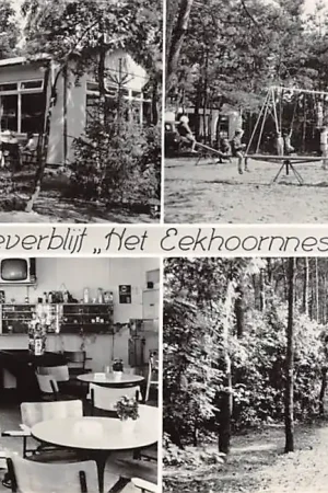 Ekspresowa dostawa Soest Birkstraat 118 Vakantieverblijf Het Eekhoornnest 1967 HC40147