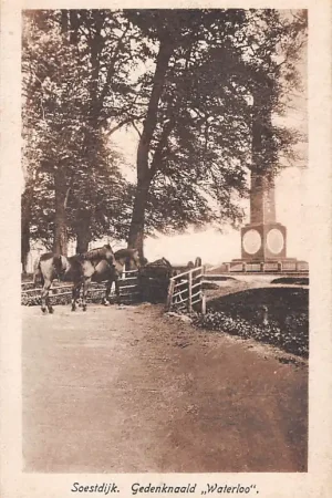 Darmowa dostawa Soest Gedenknaald Waterloo HC40174