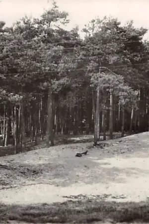 Soestduinen In de Soesterduinen 1957 Soest HC40117 Nowość