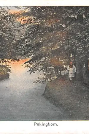 Baarn Pekingkom Nauta 10679 HC40061 Zamów teraz