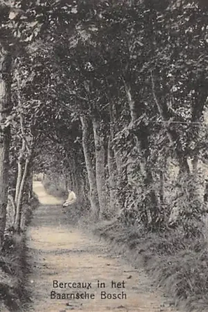 Darmowa dostawa Baarn Berceaux in het Baarnsche Bosch 1916 HC40058